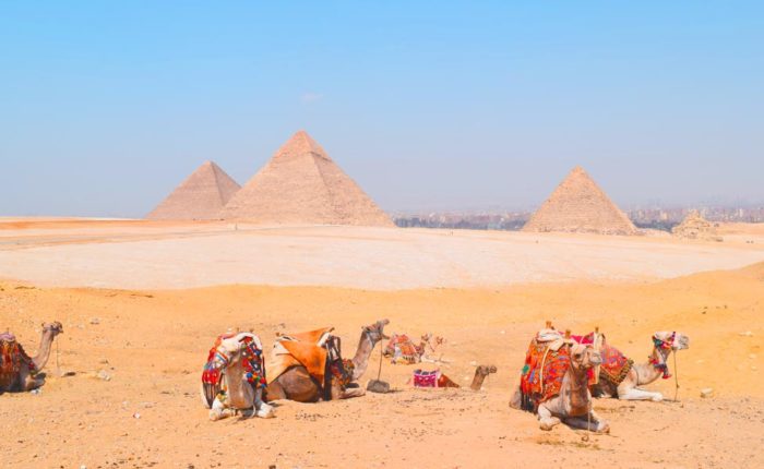 Day Tour from Hurghada to Pyramids by Plane - Trips in Egypt