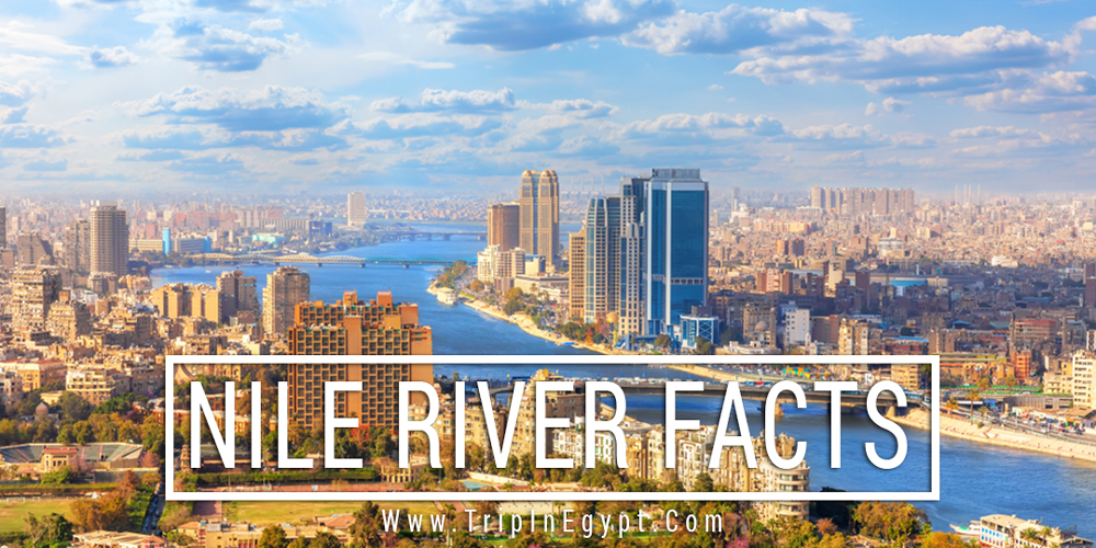 Egypt Nile River Facts - Trips in Egypt