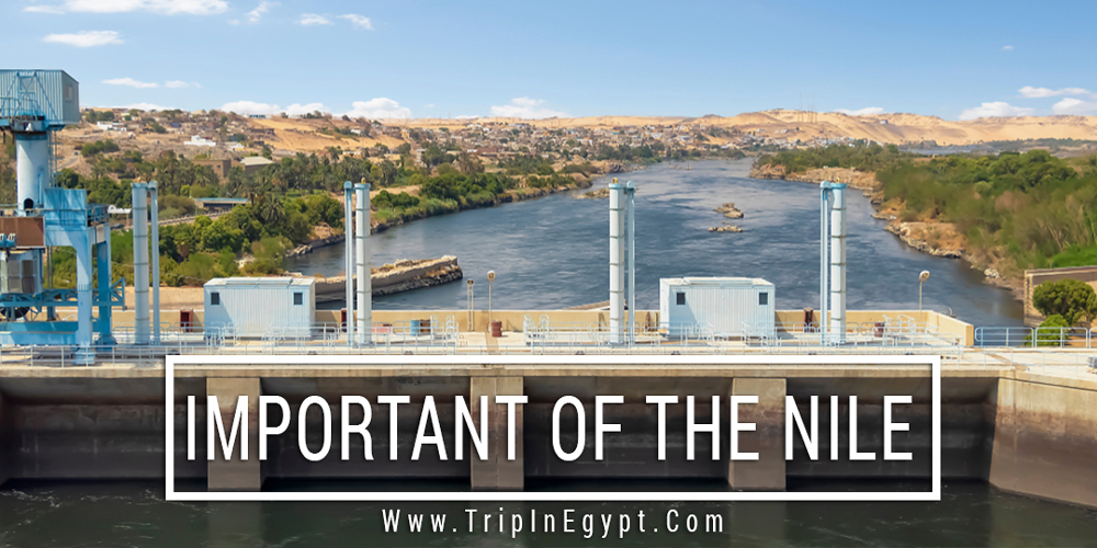 Important of The Nile River - Trips in Egypt