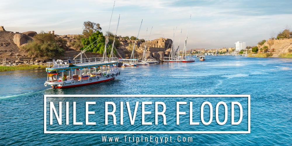 Nile River Flood - Trips in Egypt
