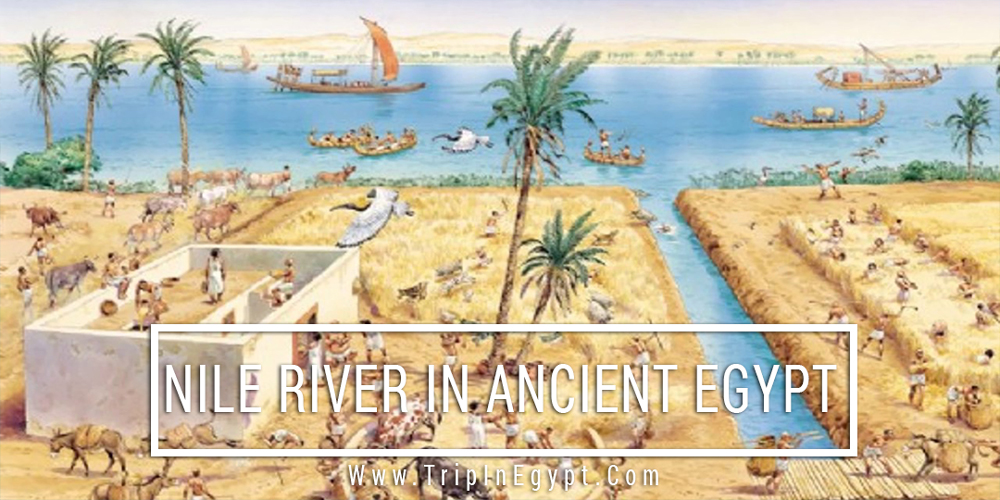 Nile River in Ancient Egypt - Trips in Egypt
