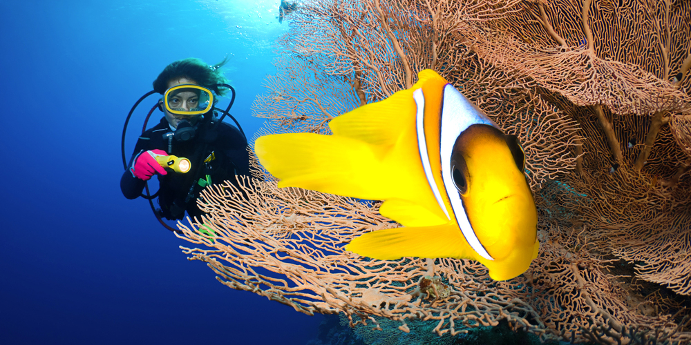 Activities to Do in Marsa Alam Activities to Do in Marsa Alam - Trips in Egypt