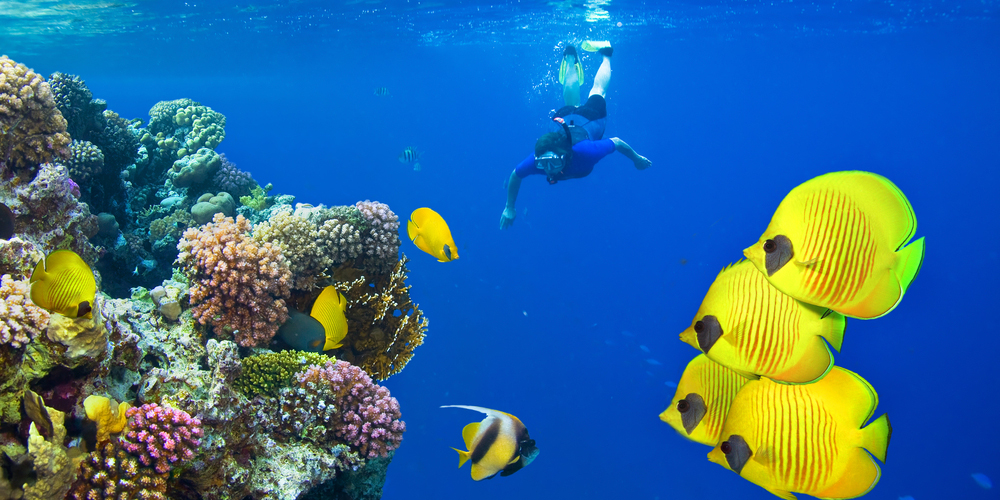 Best Time To Visit Marsa Alam Best Time To Visit Marsa Alam - Trips in Egypt