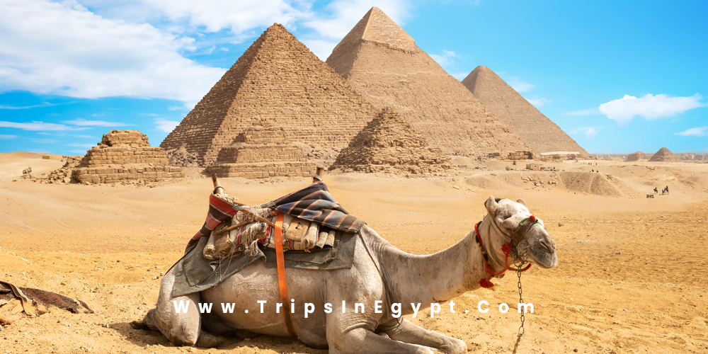 Giza Pyramids - Cairo Egypt - Trips in Egypt