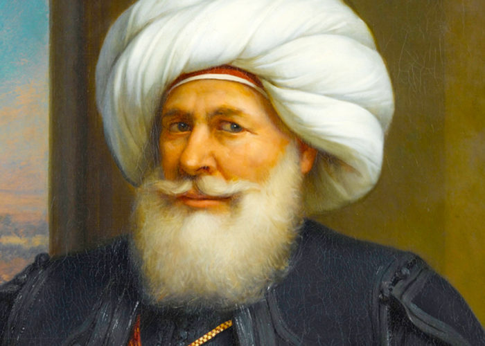 Muhammad Ali Pasha - Trips in Egypt