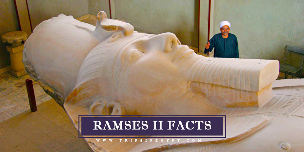 Ramses II Facts - Trips in Egypt