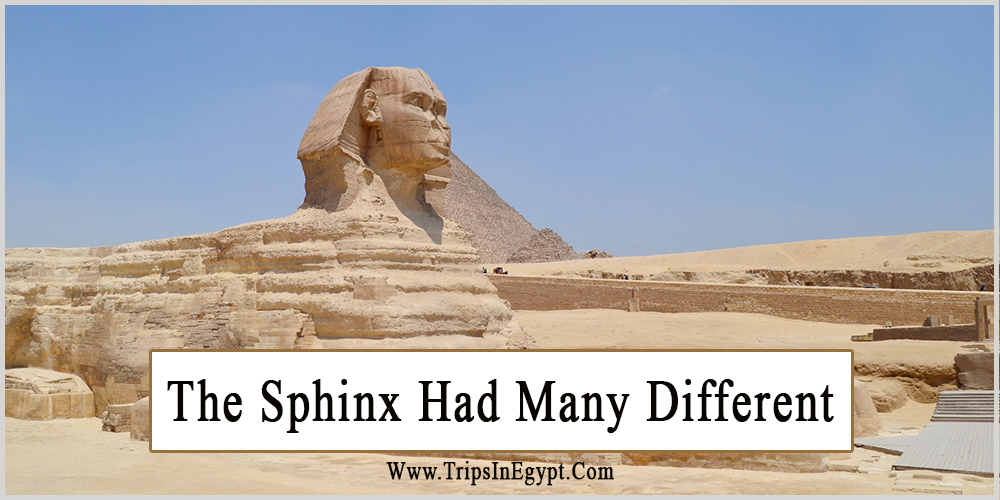 Sphinx Names - Trips in Egypt