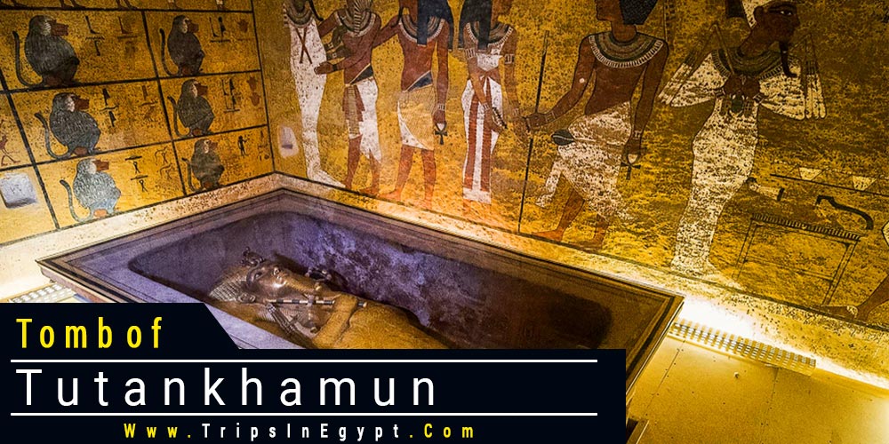 Valley of the Kings Facts - Valley of The Kings Tombs - Valley of the Kings Luxor