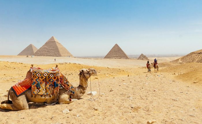Day Trip from El Gouna to Cairo by Bus - Trips in Egypt