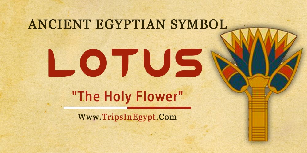 Ancient Egyptian Symbol Lotus - Trips in Egypt