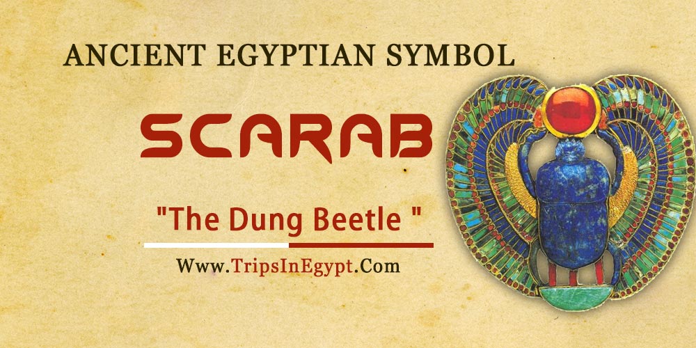 Ancient Egyptian Symbol Scarab - Trips in Egypt