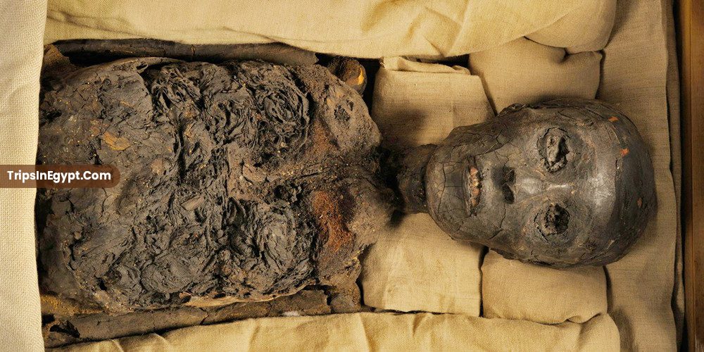 King Tutankhamun Death - Trips in Egypt