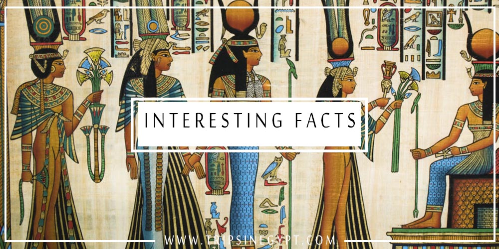 Ancient Egyptian Women Facts - Trips In Egypt