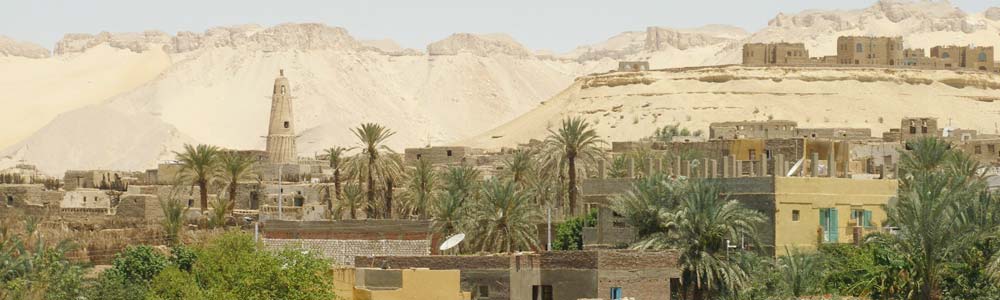 Dakhla Oasis – Trips in Egypt