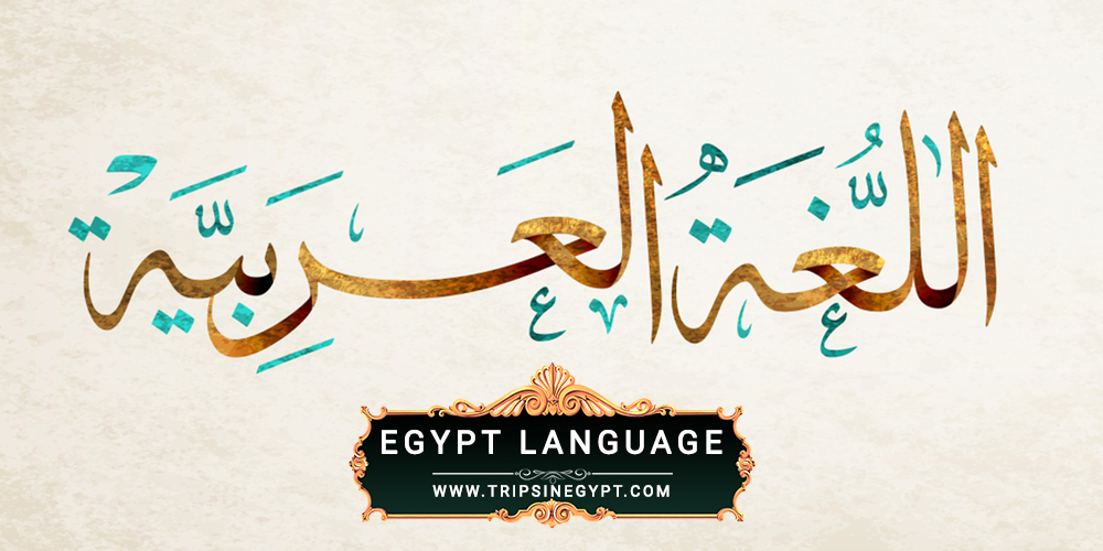 Egypt Language Egypt Language - Egypt Culture and Traditions - Trips in Egypt