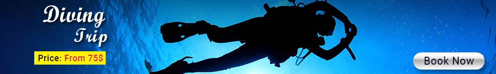 Extraordinary 18 Things to Do in El Gouna Day & Night - Trips in Egypt