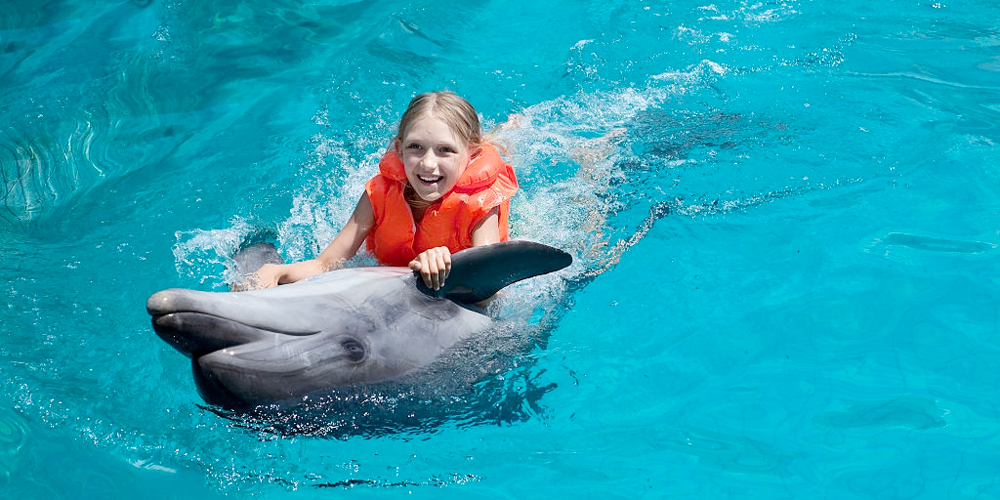 Extraordinary 18 Things to Do in El Gouna Day & Night - Trips in Egypt