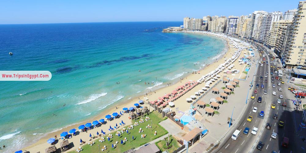 Alexandria Corniche - Things to Do in Alexandria - Trips in Egypt
