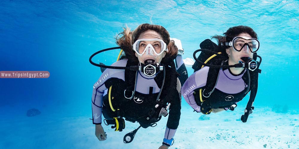 Diving in Hurghada - Things to Do in Hurghada - Trips in Egypt