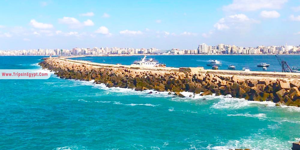 Mediterranean Sea Alexandria - Things to Do in Alexandria - Trips in Egypt