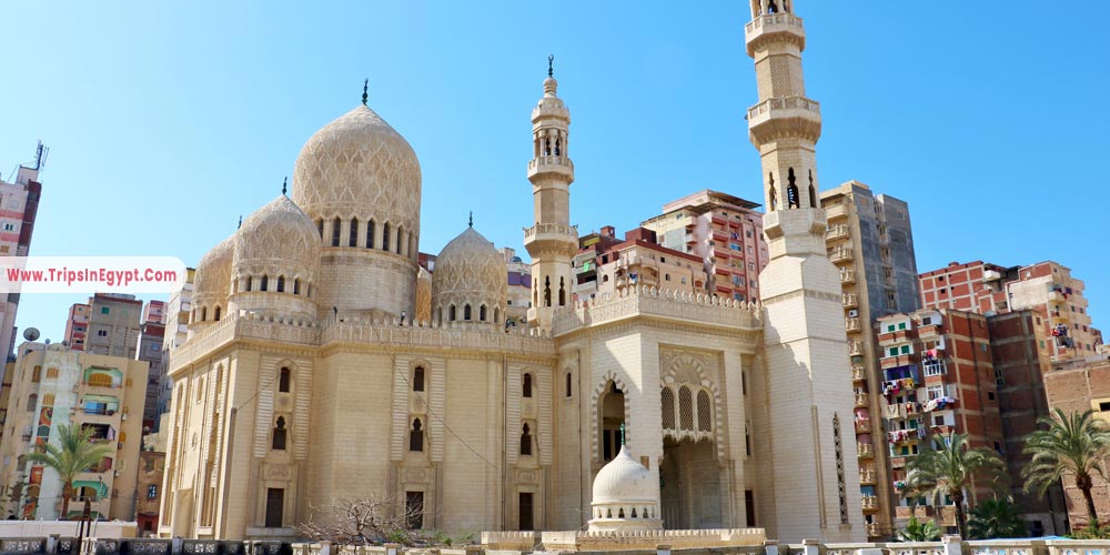 Mursi Abu Al Abbas - Things to Do in Alexandria - Trips in Egypt
