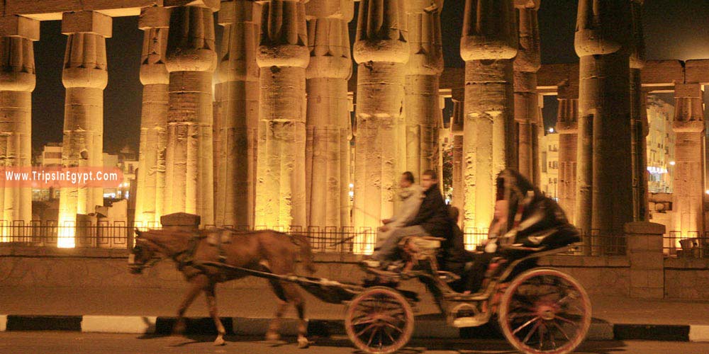 Riding Horse at Luxor in Night - Things to Do in Luxor at Night - Trips in Egypt