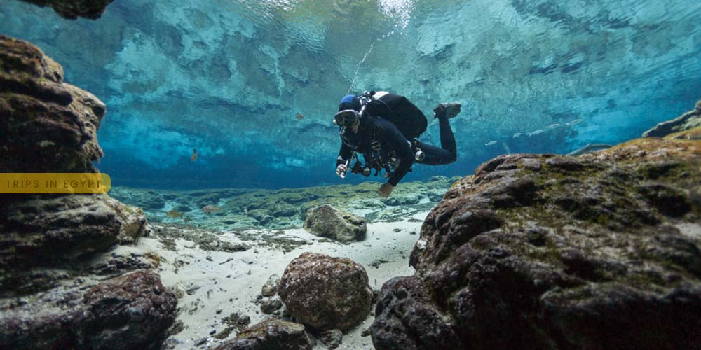 Diving Tour in Safaga - Things to Do in Safaga - Trips in Egypt