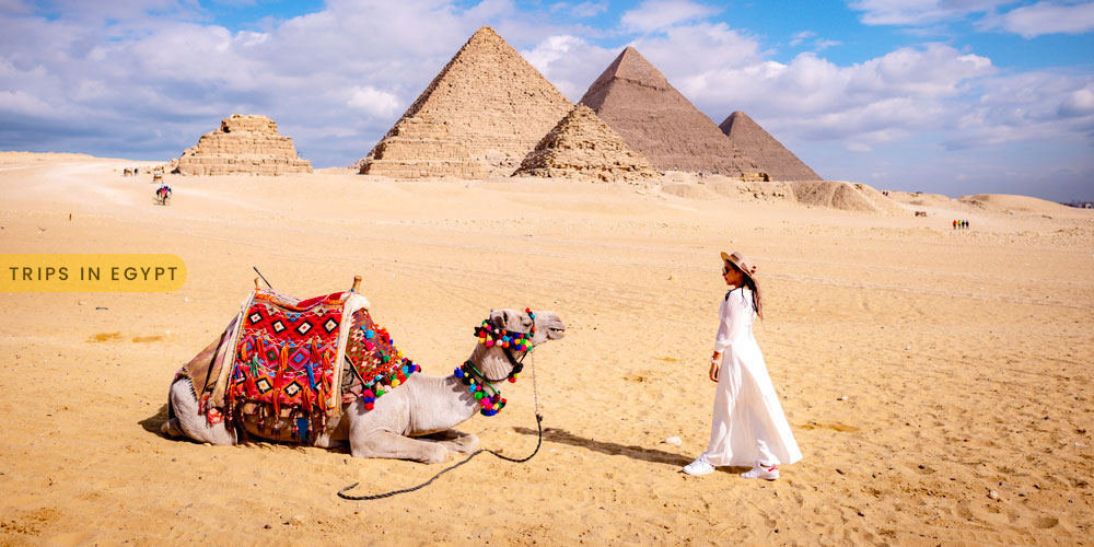 Giza Pyramids - How to Enjoy a Luxury Holiday in Egypt - Trips in Egypt