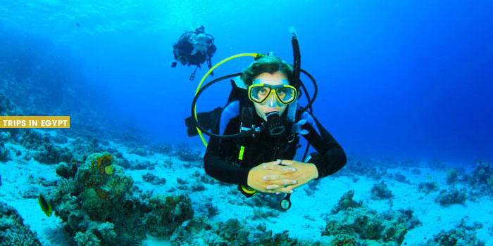 Diving - Things to Do in Sharm El Sheikh - Trips in Egypt