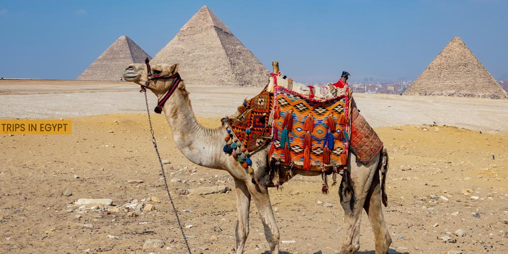 Giza Pyramids - Outdoor Activities to Do from Marsa Alam - Trips in Egypt