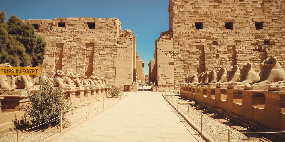 Karnak Temple - Outdoor Activities to Do from Marsa Alam - Trips in Egypt