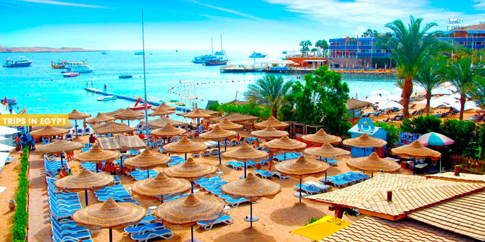Naama Bay - Things to Do in Sharm El Sheikh - Trips in Egypt