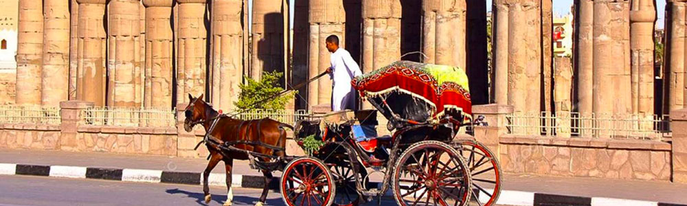 Luxor Horse Carriage Tour Itinerary – Trips In Egypt
