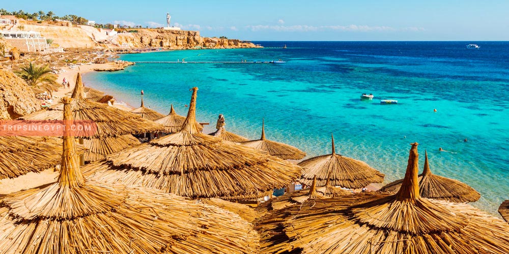 How to Enjoy the Best Excursions While Being In Safaga Port - Trips In Egypt