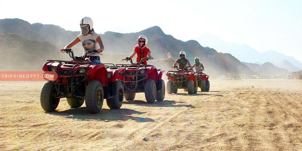 Safari Trip - Best Tours & Places to Visit from El Gouna - Trips In Egypt