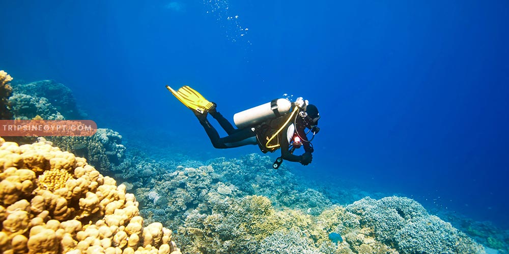 Scuba Diving - Best Tours & Places to Visit from El Gouna - Trips In Egypt