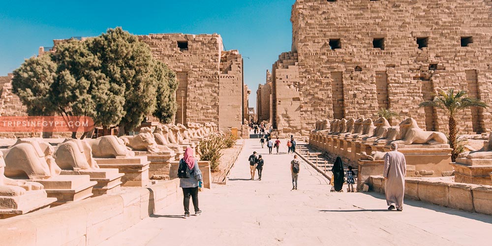 Types of Egyptian Holidays & the Best To Do - Trips In Egypt