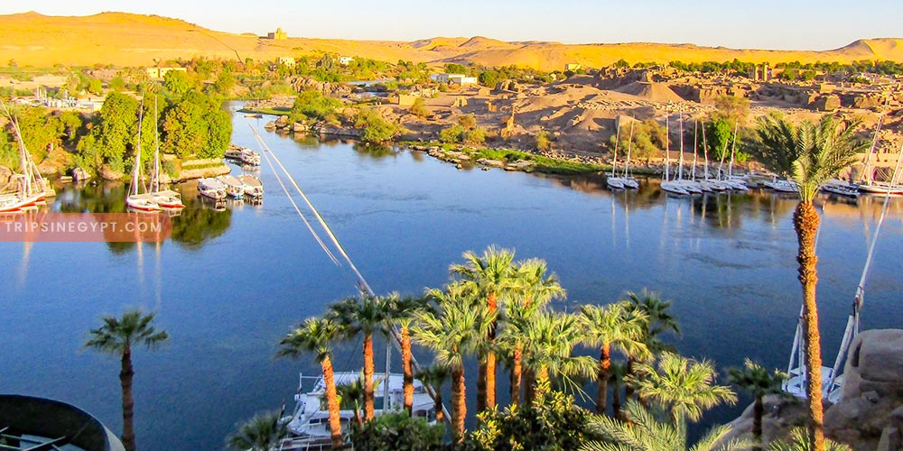 Aswan Islands - Best Places to Visit In Aswan City - Trips In Egypt