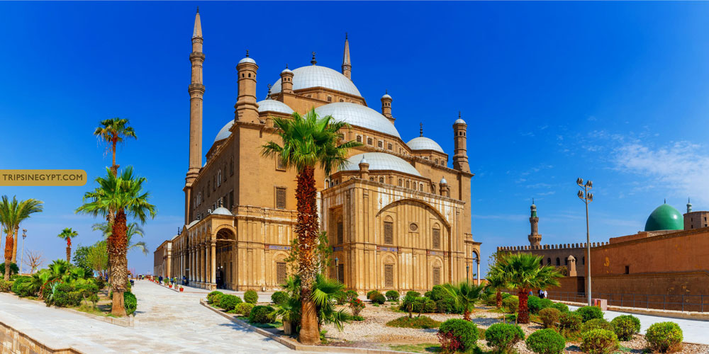 Top Tours & Places to Explore From Sharm El Sheikh - Trips In Egypt